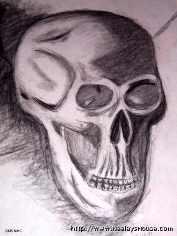 art02_skull2005.jpg
