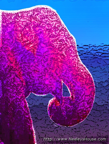 photoshop04_elephant1.jpg