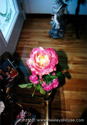 colorphoto_memeresflower.jpg